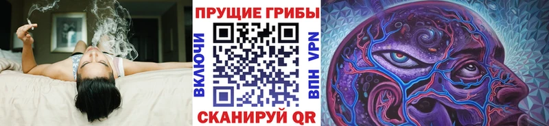 Галлюциногенные грибы ЛСД  Богучар 