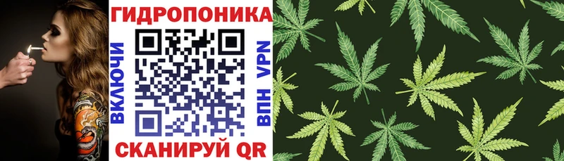 купить   Богучар  Марихуана Amnesia 